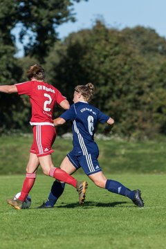Bild 233 - Frauen SV Wahlstedt - ATSV Stockelsdorf : Ergebnis: 2:2